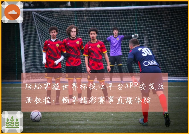 轻松掌握世界杯投注平台APP安装注册教程，畅享精彩赛事直播体验