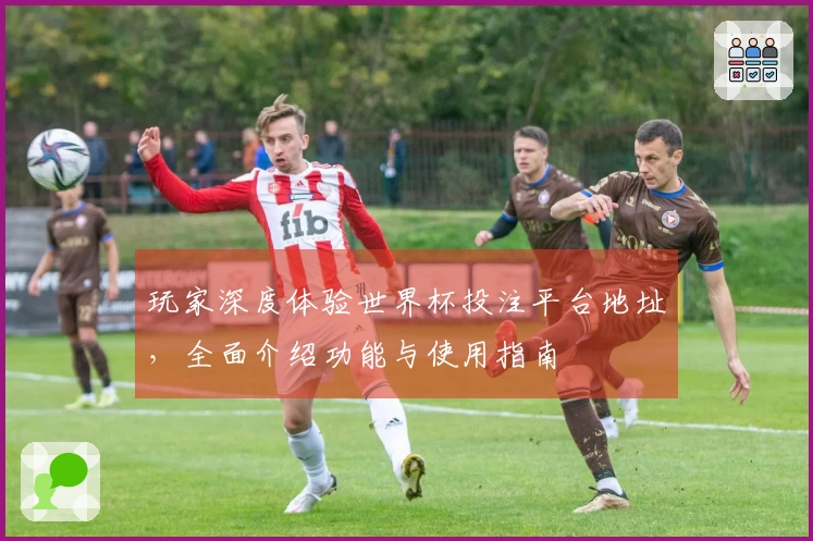 玩家深度体验世界杯投注平台地址，全面介绍功能与使用指南