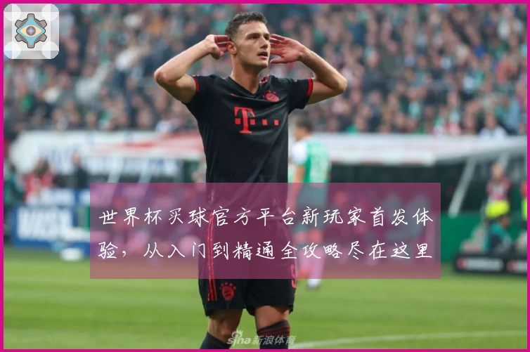 世界杯买球官方平台新玩家首发体验，从入门到精通全攻略尽在这里