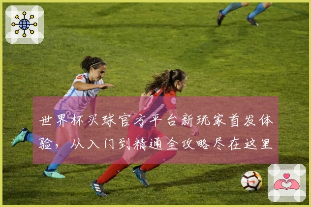 世界杯买球官方平台新玩家首发体验，从入门到精通全攻略尽在这里