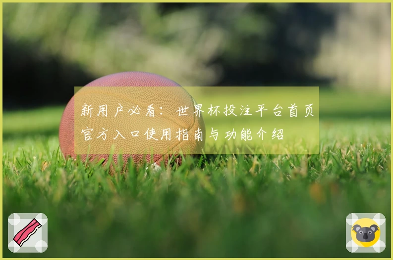 新用户必看：世界杯投注平台首页官方入口使用指南与功能介绍