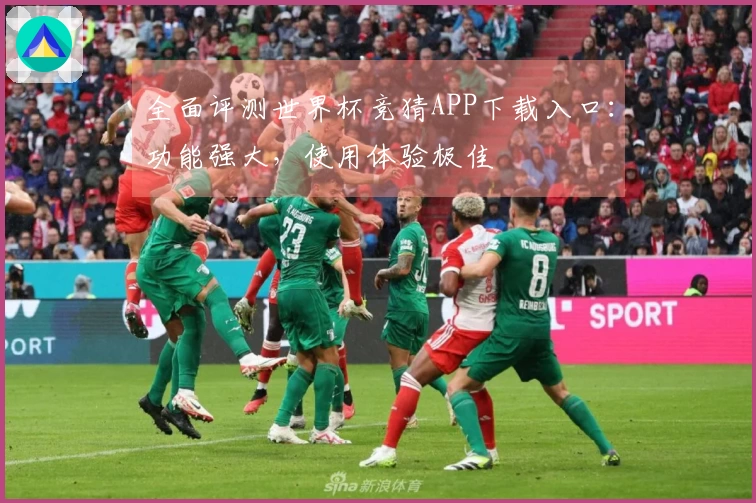 全面评测世界杯竞猜APP下载入口：功能强大，使用体验极佳