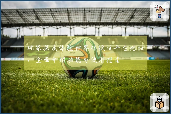 玩家深度体验世界杯投注平台地址，全面介绍功能与使用指南